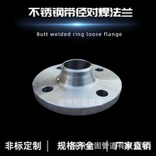 �S��ֱ�NANSIB 600# 10�玧�i�������mWN RJ ̼�A105 Q345E���|