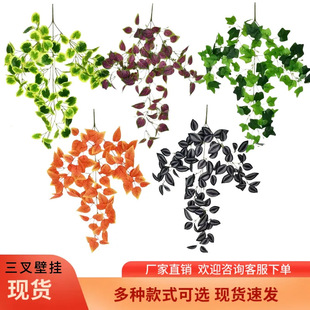 �羳���R�d ����G�}�ڒ� ���泣���ٗl�Ҿ��bGֲ���@�ٻ��ڒ�