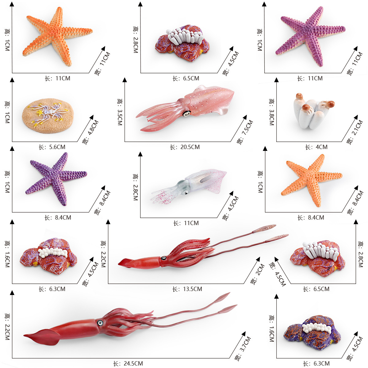 Amazon simulación de animales marinos pulpo modelo de ciclo de crecimiento pulpo proceso de transformación de crecimiento juguete Decoración