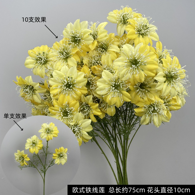 노란색 유럽풍 클레마티스