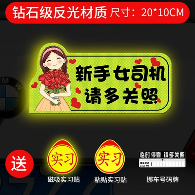Creative Funny Magnetic Sticker Logo, Body sticker - strong-magnetic-and-strong-reflective-rose-girl-please-take-more-care-gift