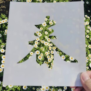 �����U��ģ�� �Ĕz���섓��diy���ﴺ����Ʒ�L���T�f��ͨ�����ڱ�