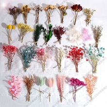 ��Ȼ��޹�ɻ��׃��@�������~�U�㱭�}�Q�ֹ��������㻨��