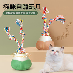 宠物智能猫玩具自动旋转逗猫球套装猫自嗨解闷玩具绳结滚滚球新款