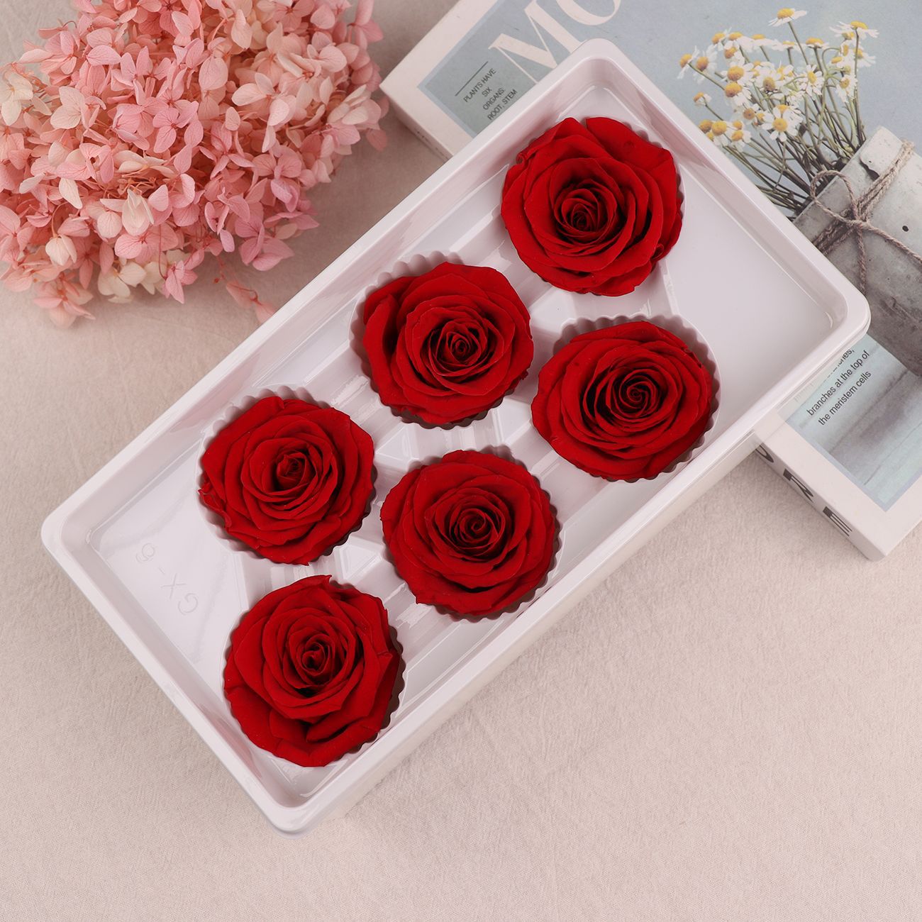 Grado una flor eterna Rosa flor preservada Rosa flor seca 5-6cm exportación calidad Yunnan fábrica al por mayor