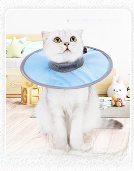Cat Collar Light Blue S