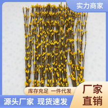 �ٗl�����bh40cmС���滨�{���ٗl�羳�����ٗlӲ�U����ֲ��
