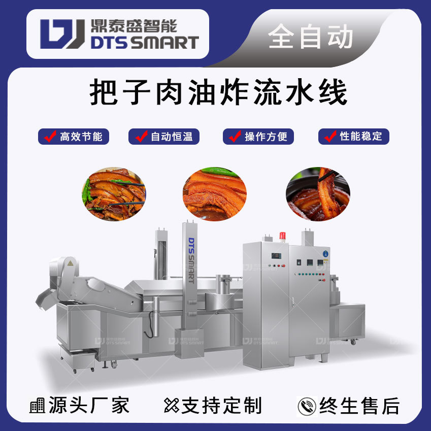 Jinan línea de producción de frita de carne de ciruela de carne de frita a gran escala línea de ensamblaje
