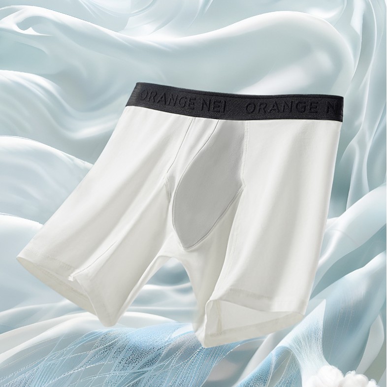 Briefs