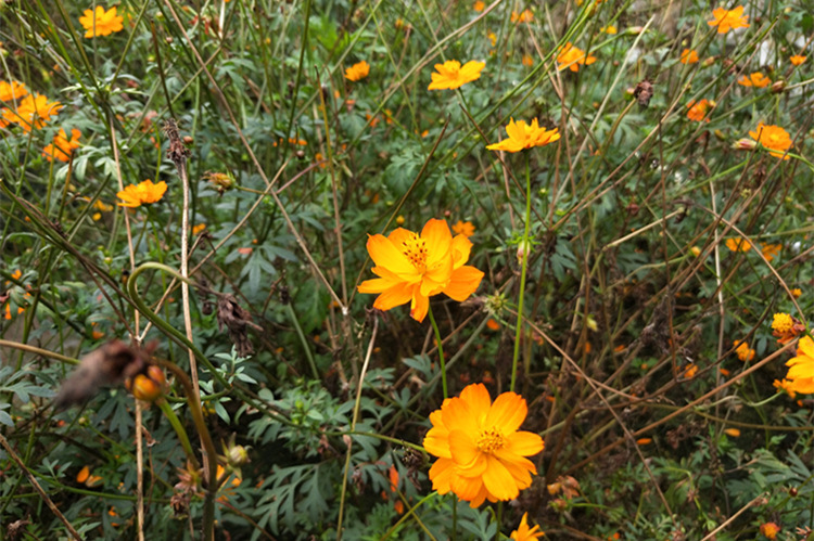 IMG20181122133759_副本