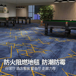 台球厅地毯耐磨防潮商用美式满铺防火阻燃台球室加厚客厅尼龙地毯