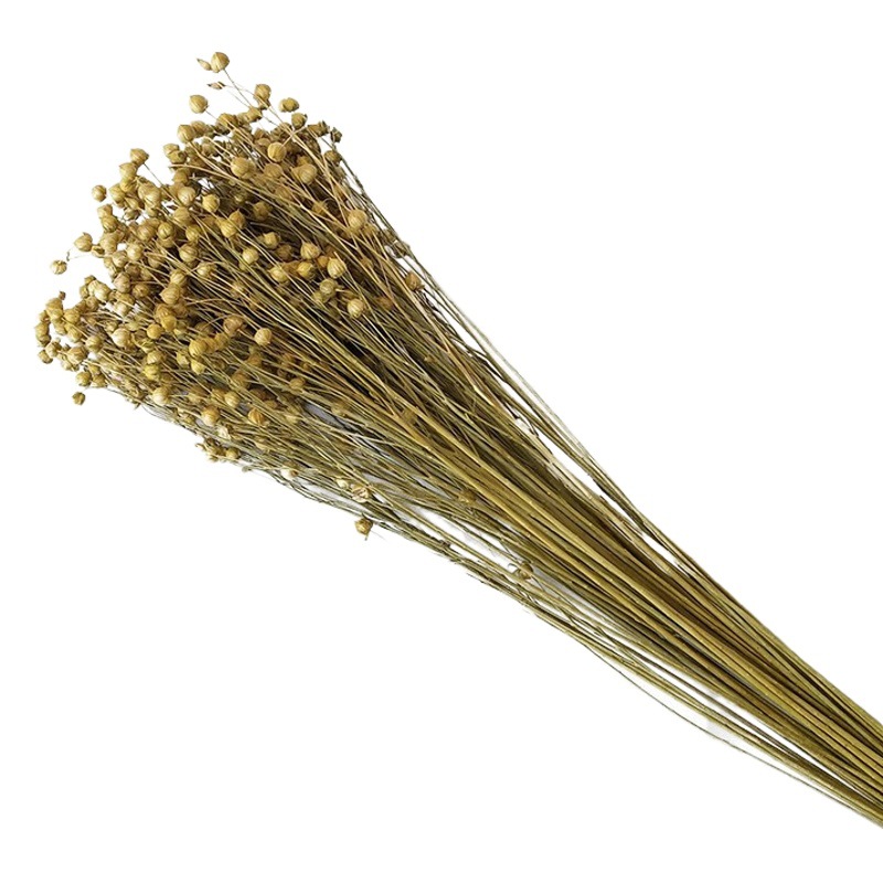 Xiangsi frijol ramo de flores secas flor bricolaje rojo rico Lino frijol decoración del hogar Yunnan artesanía regalo al por mayor