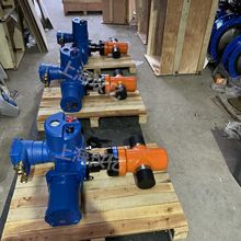 |Z983Y-160-DN89ϲʽVó߉ƽly úC C