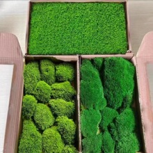 ����̦�\ֲ� �҃Ƞ���ܛ�b ���̠�����쾰������̦�װl����\