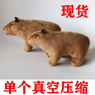 �羳��ƷCapybaraRodent Plush ˮ����ë�q���п�ͨ��ż��
