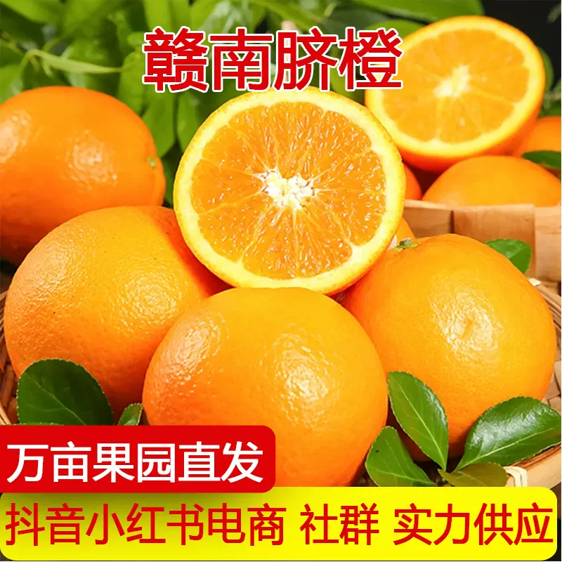 产地直发赣南脐橙新鲜水果孕妇甜橙纽荷尔橙子手剥橙一件代发