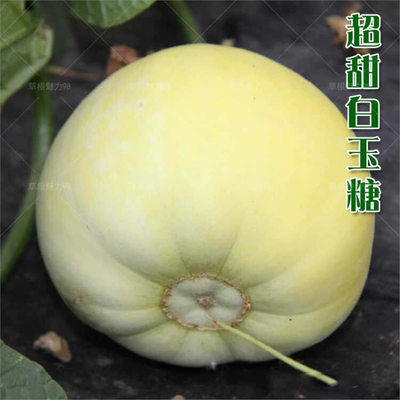 Семена дыни, семена арбуза, семена сахарного тростника, семена дыни, семена четырехсезонного арбуза, семена роговой медовой дыни