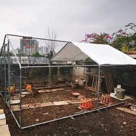 鸡棚鸡笼家用大号特大自家养鸡笼鸡窝棚养鸽子笼防雨养殖户外鸡舍