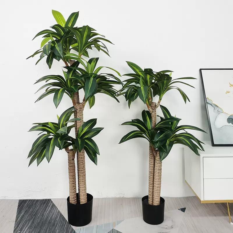 仿生老桩树盆栽热带绿植巴西木大型落地橱窗植物室内家居巴西铁