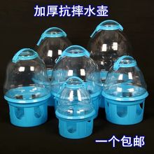 鸽子用品用具水壶信鸽喂水器饮水器自动喝加厚耐摔鸟