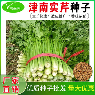 ���ό��۷N�ӌ����۲������ļ�С�������������ˬ�ڲˈ@�̨����