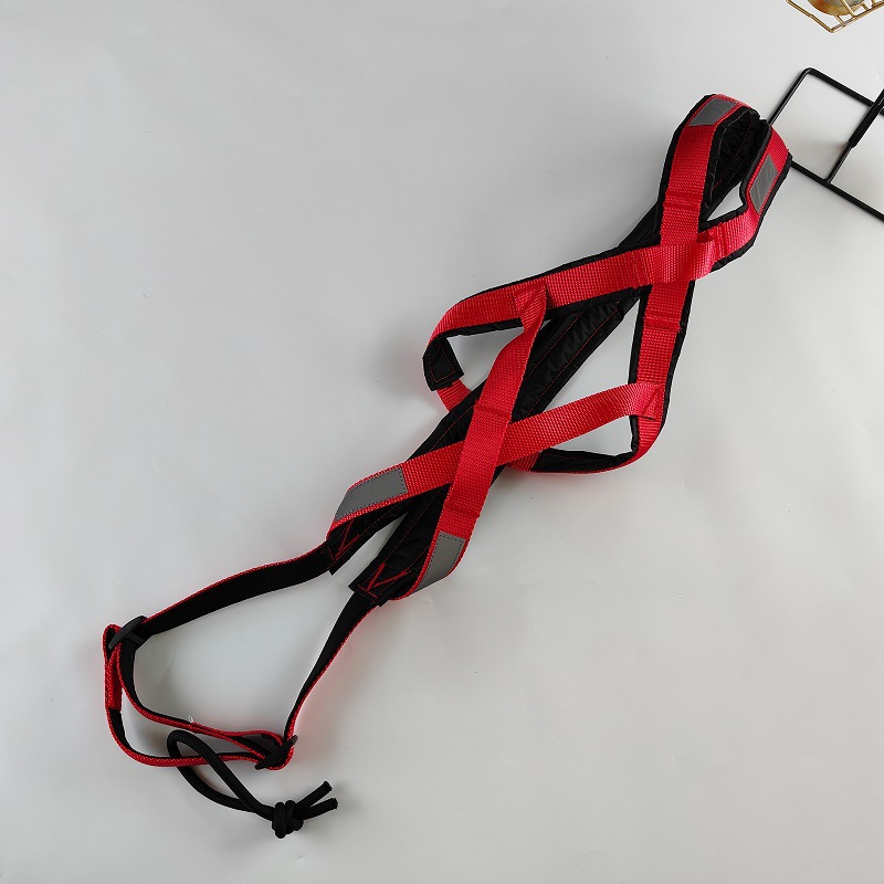 Harnais de traîneau d'extérieur pour chien d'entraînement de poids, Husky, Samoyède, laisse de transport pour snowboard_voghion.com