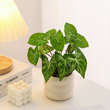 ���l���Wֲ�������辰�Gֲ�����҃��k���ҹ�λ�b��ٻ�