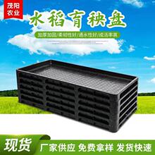 �Ӻ�7��ˮ�������P ˮ������P ����C����P ����P