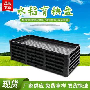 �Ӻ�7��ˮ�������P ˮ������P ����C����P ����P