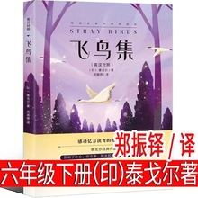 wB pZ ̩ꠖIg꼉ԱxnpZ