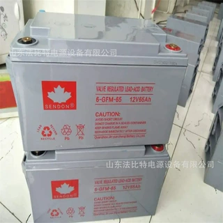 山顿UPS蓄电池6-GFM-65/12V65Ah 全新质保 直流屏 EPS