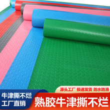PVC防水塑料地毯防滑地垫楼梯室内外商用塑胶地板垫子脚垫牛筋津