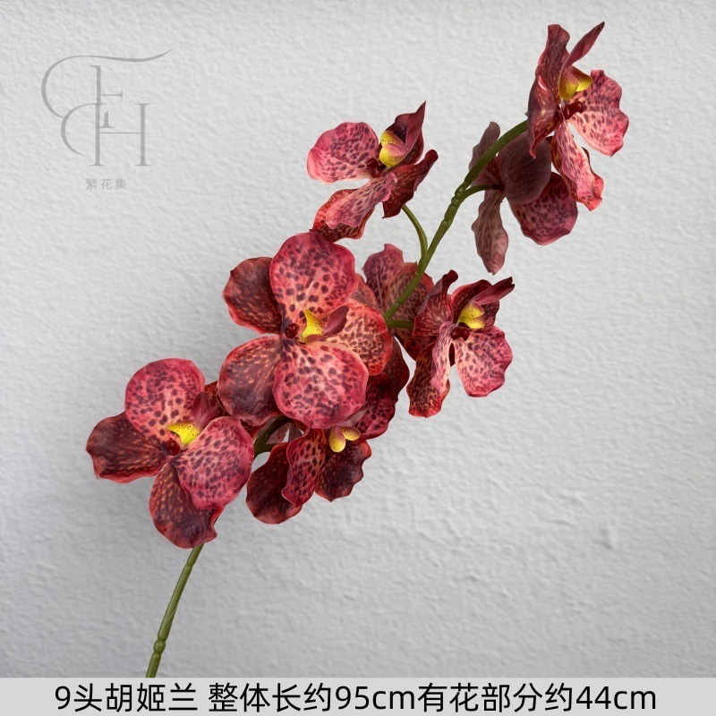 9 Hu jilan