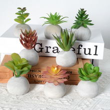 �������Сˮ�����辰�҃ȾGֲ����ֲ���k��������С�[���Ĕz����