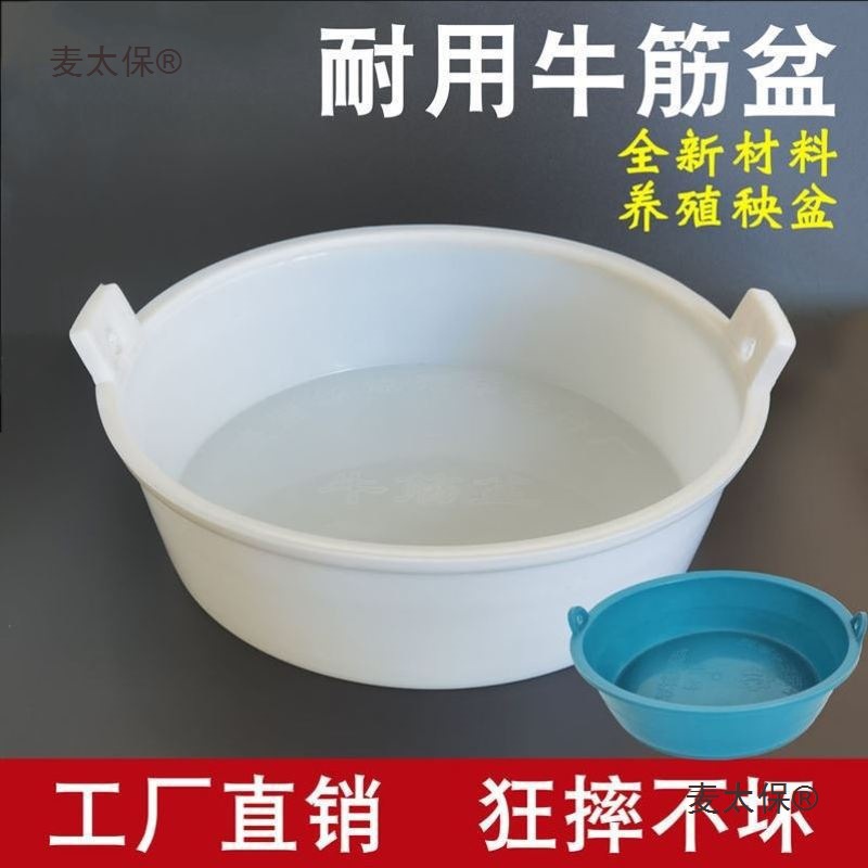 养鸭水池鸭子游泳盆子洗澡盆柯尔鸭游泳池狗狗可折叠浴盆泳