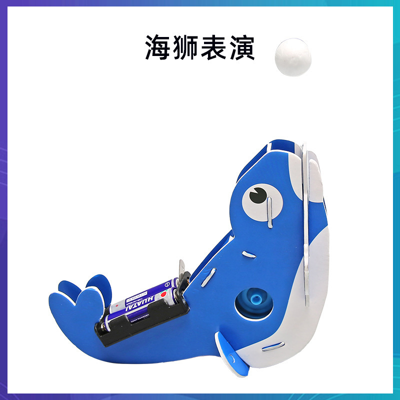 科学技術の小さい制作のstem科学の小さい制作の小学生の手の科学の実験の卸売りの子供のおもちゃの材料の包み|undefined