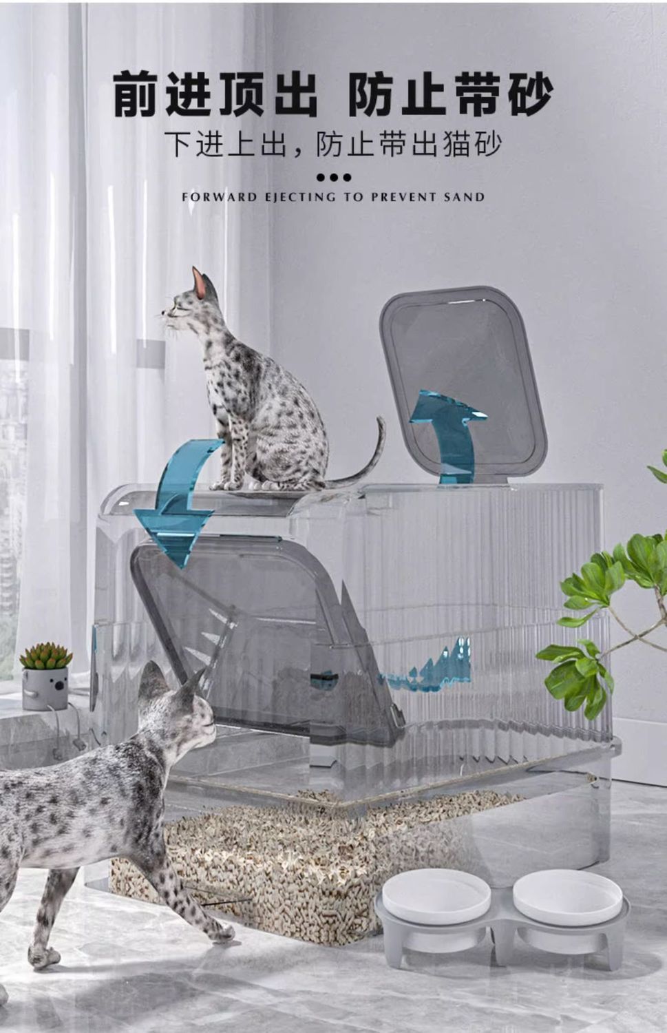 7f164a60-9dfb-4bd3-8df5-c820a85f7798.jpe