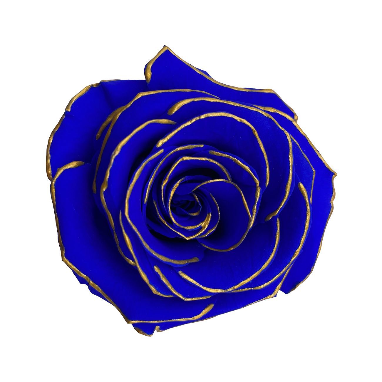 Grado una flor eterna pequeña fragancia Rosa fragancia serie de canciones Borde negro Rosa delineador de ojos flor seca floral caja de regalo de enseñanza ramo