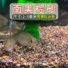 South American brown sand [2-3mm] 5 catties