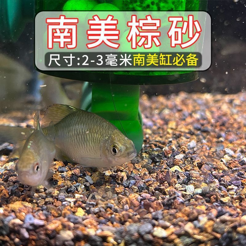 South American tank: natural brown sand medium [2-3mm]]