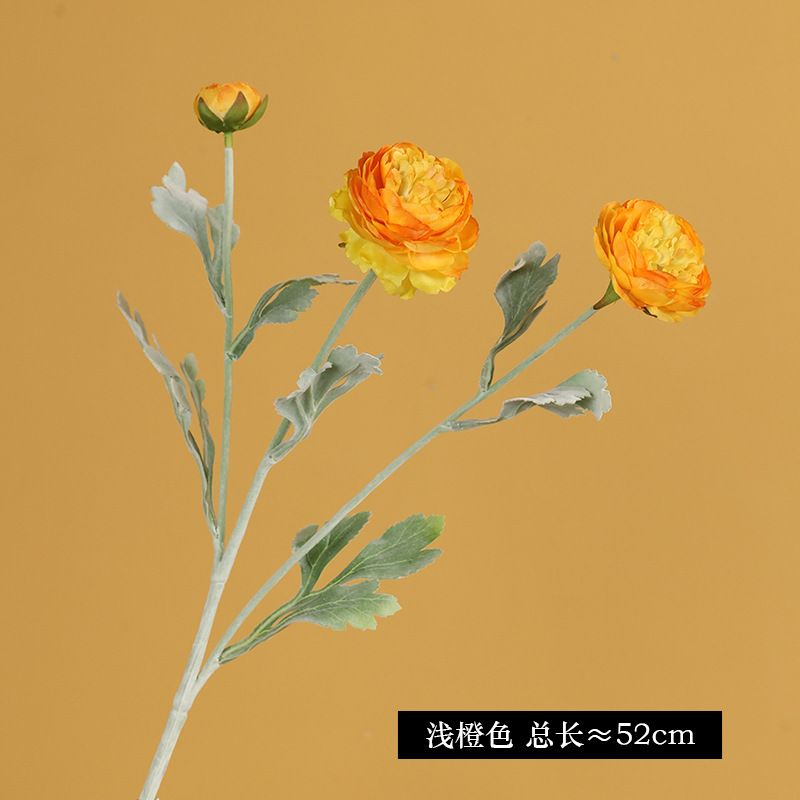 5247 # 라이트 오렌지