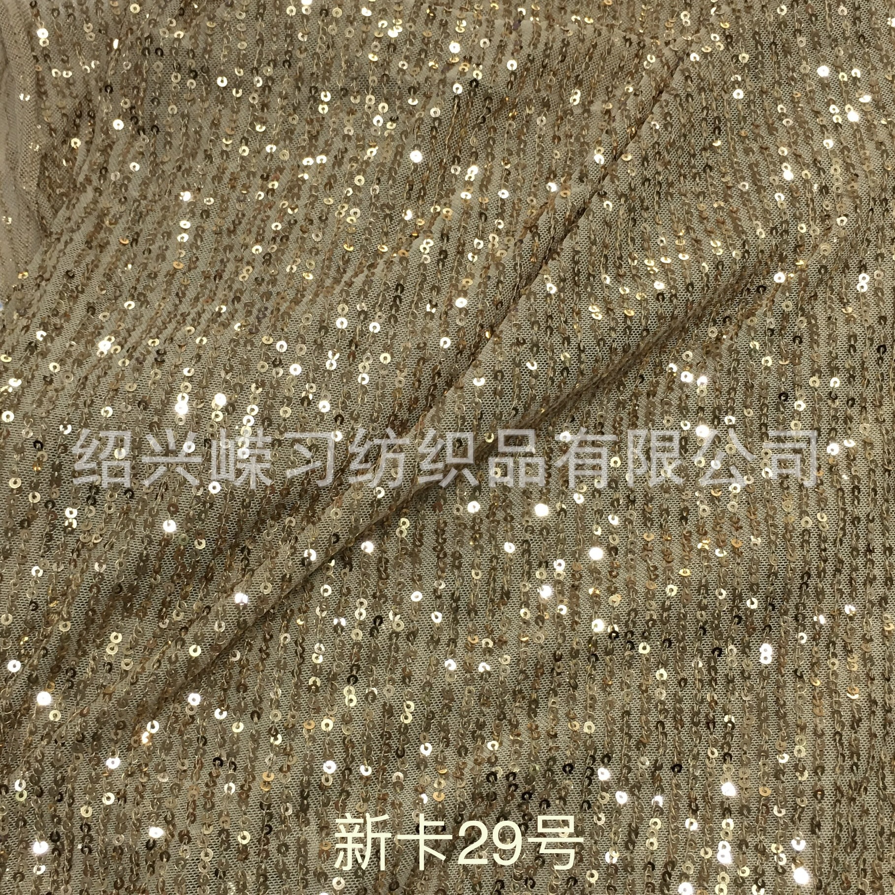 直条 新卡29号