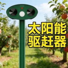�羳��Ʒ̫��܄�����s����׼��t�⾀���ܸБ�����������s��