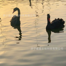 �����Z���w���� Ó�غ����Z�� ��������Z�^�p�����Z�Bֳ�����Z��