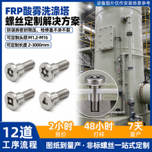 定制FRP酸雾洗涤塔螺丝防拆四方三角内六角梅花带柱槽M5M4螺栓