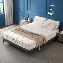 ���z���|Diglantϯ��˼ܛӲ���ê����o�􏗻��ԃr�ȼӺ����z���|