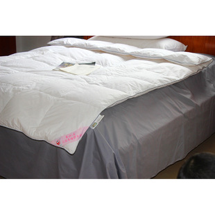 Factory direct supply foreign trade export cross-border home textile quilt core 30% white duck down student single down quilt wholesale