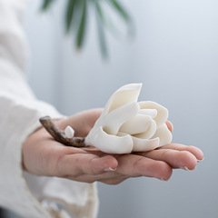 玉蘭花陶瓷香插手工捏花香座家居擺件茶室香薰茶道配件把件文玩