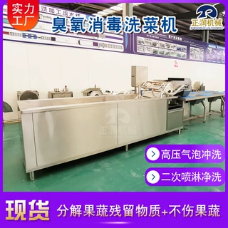 厂家定制罗甘莓清洗机 果脯厂桑仁清洗设备 全自动蛇皮果清洗机