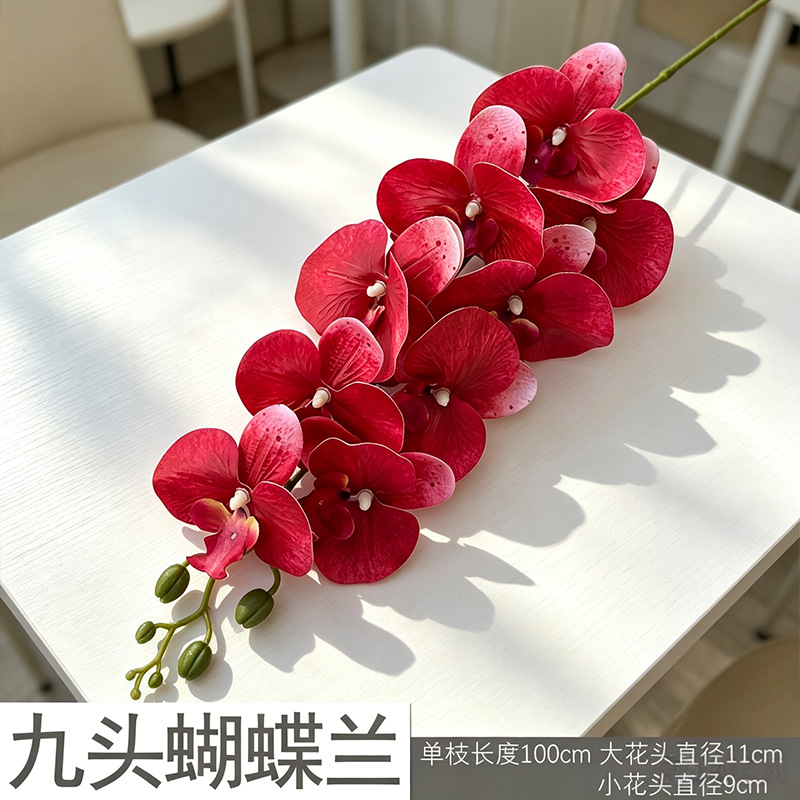 Phalaenopsis 3D mới/đỏ